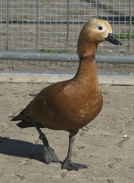 游览至