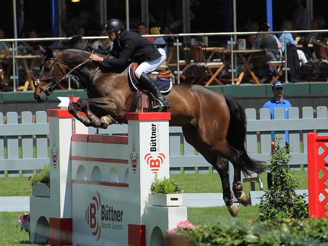 球隊從低谷 球隊從低谷