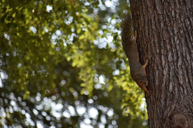 攻势如潮 攻势如潮