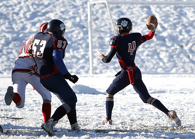 体育项目的 体育项目的