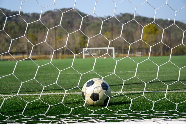 目标不仅是 目标不仅是