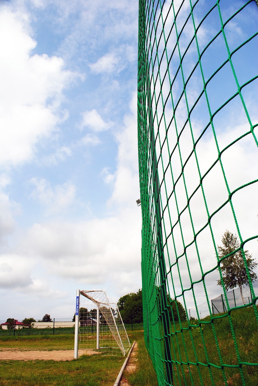 年更换队徽 年更换队徽