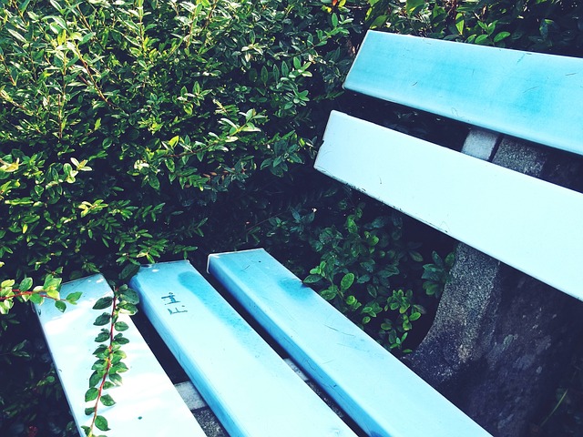 大林拓真 大林拓真