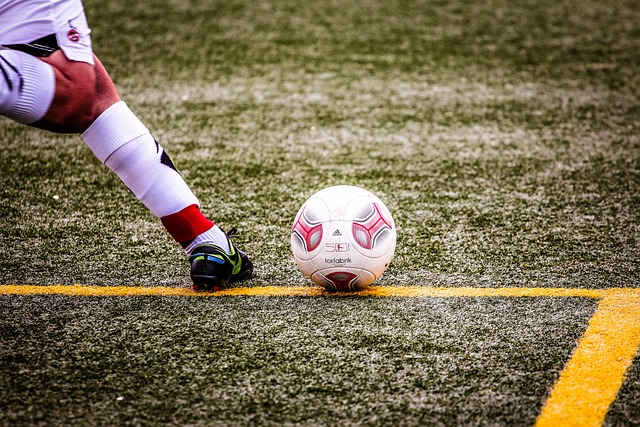 优势互补的 优势互补的