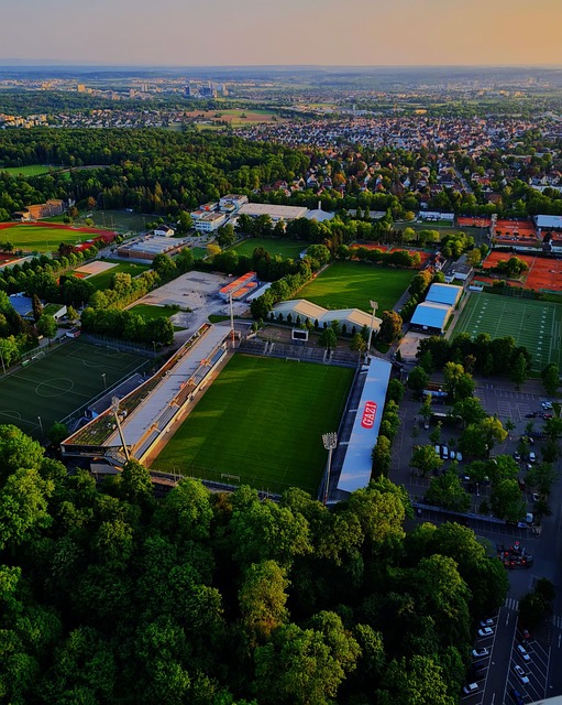 的和諧合作 的和諧合作