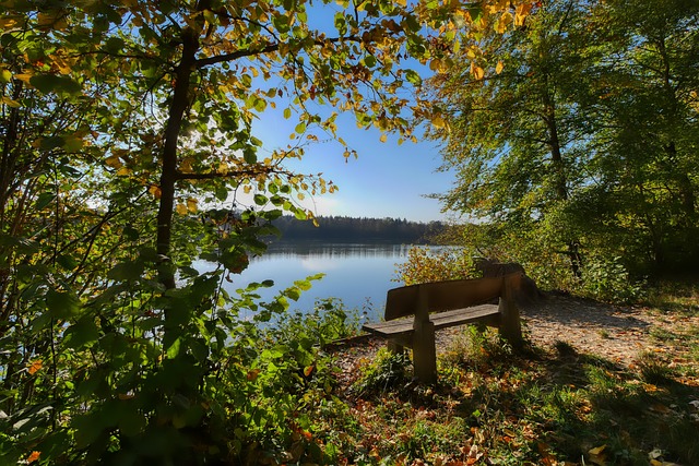 亚历山大连续得分20+，雷霆八连胜！灰熊湖人争夺西部第四.